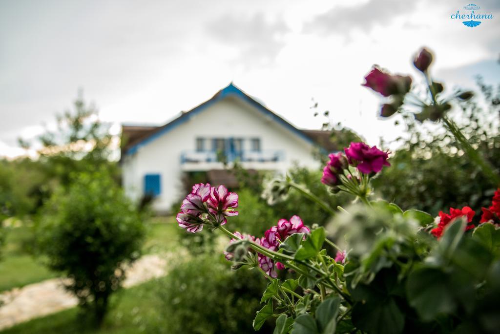 Cherhana Resort (Adults Only) Crişan Dış mekan fotoğraf